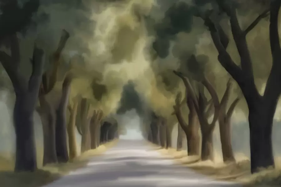 Wall Mural Photo Wallpaper Trees w05509