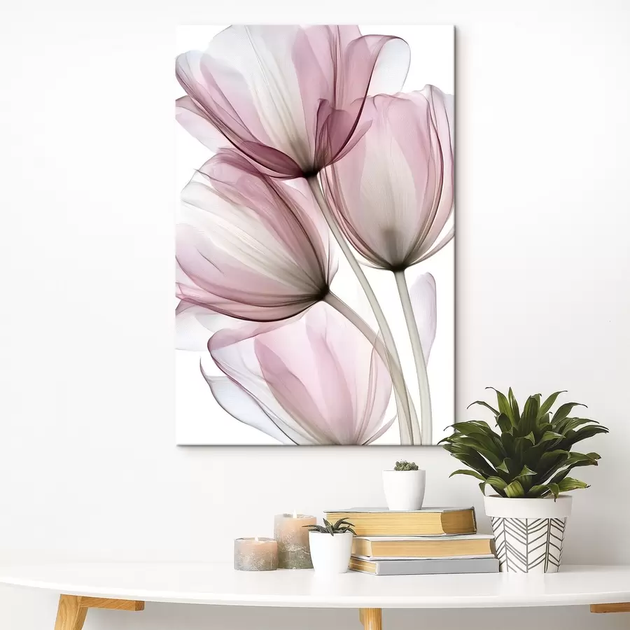 wall murals elegant semi-transparent tulips s49565