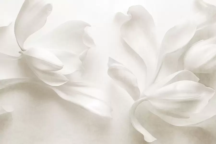 wall murals Textured white magnolia flowers with delicate petals, blurred light background w09771