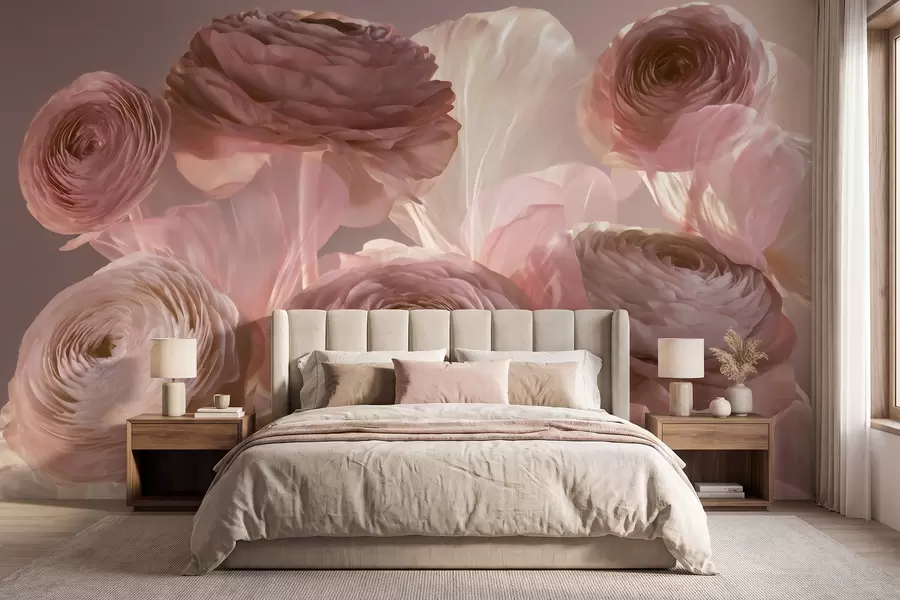 wall murals Large artistic ranunculus flowers in soft pink and cream tones w09921