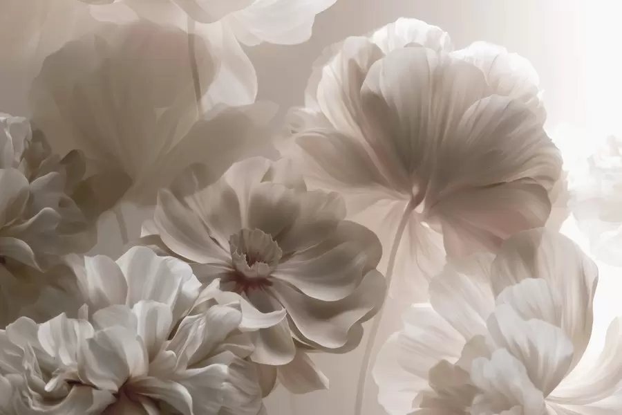 wall murals Abstract cream magnolia petals w09937