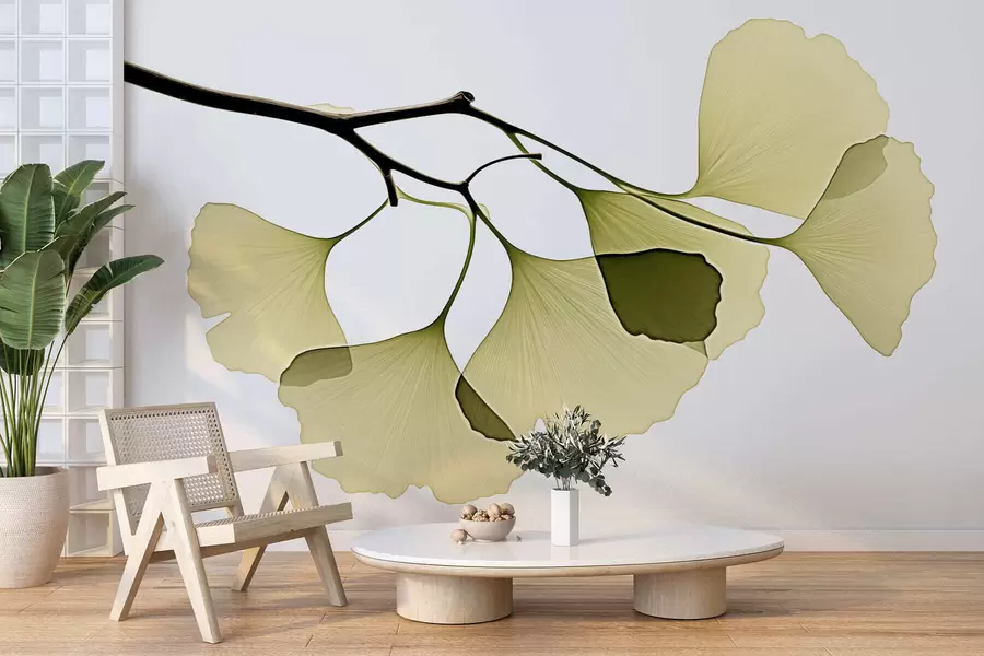 wall murals Ginkgo Fan Leaves w09968
