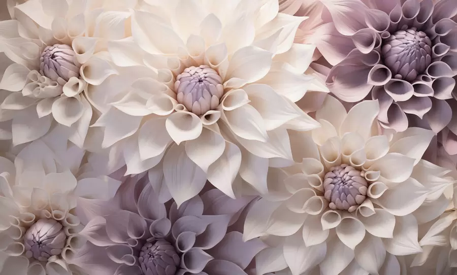 wall murals Classic flowers w05774