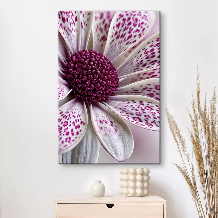 murales Primer plano de una flor parecida a una margarita con manchas de leopardo de un magenta intenso s49865