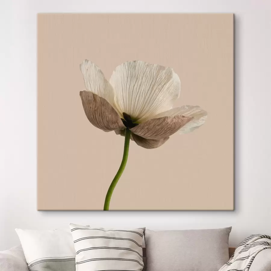 murales Delicada flor con pétalos translúcidos sobre un fondo beige, en estilo minimalista s49718