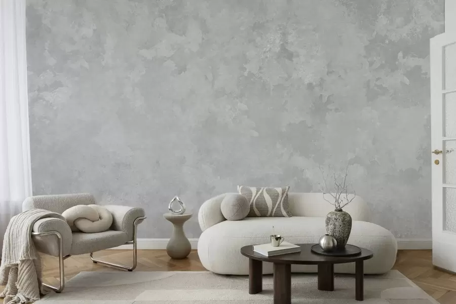 Wall Mural Photo Wallpaper Light pearl gray texture with soft cloudy tonal transitions w05814v1