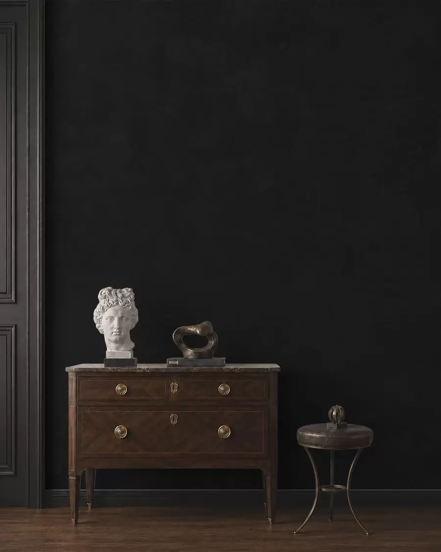 peintures murales Une teinte charbon foncé à la texture douce, avec des dégradés fumés subtils w05814v4