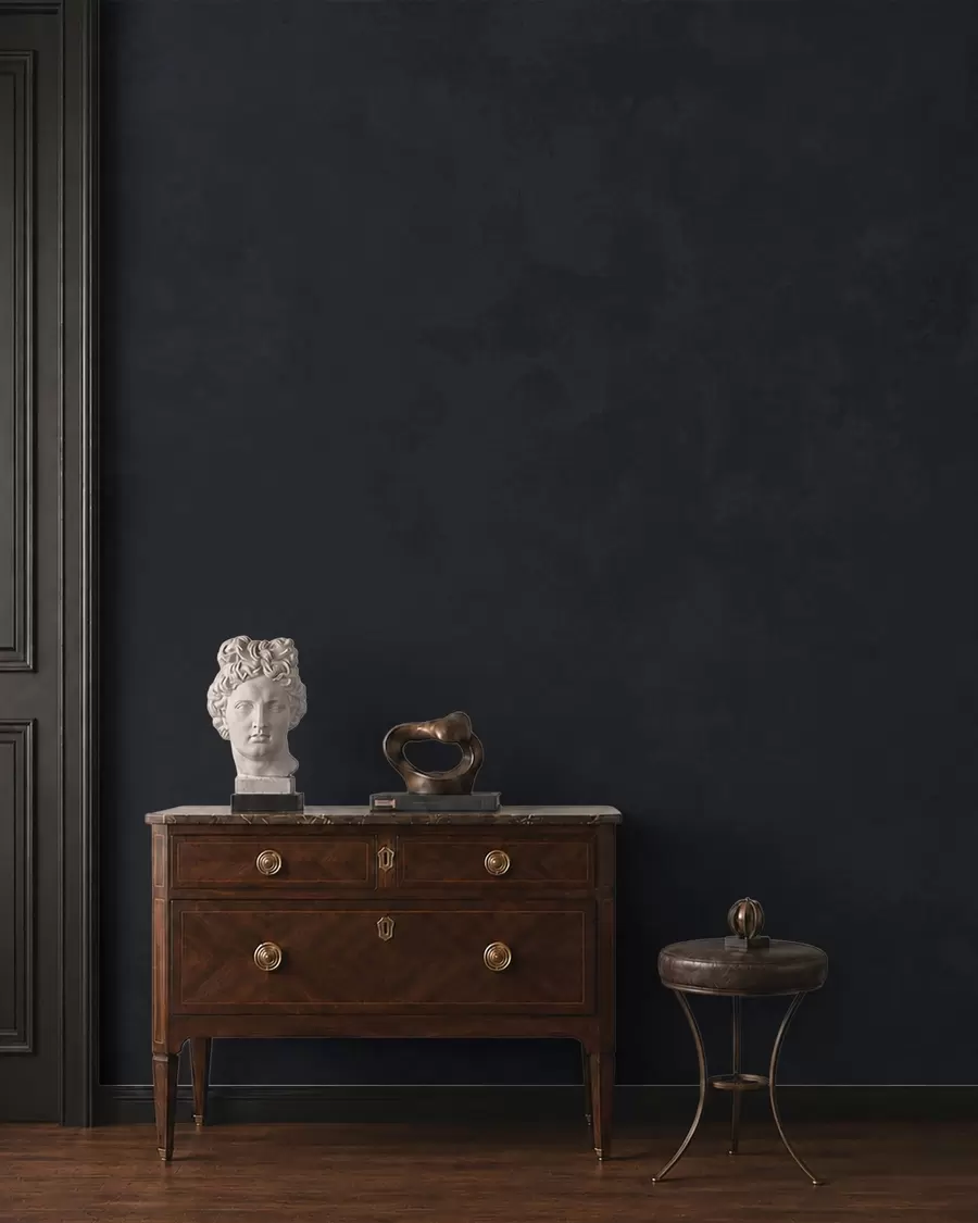 peintures murales Teinte graphite foncé, texture douce et transitions de tons nuancées w05814v5