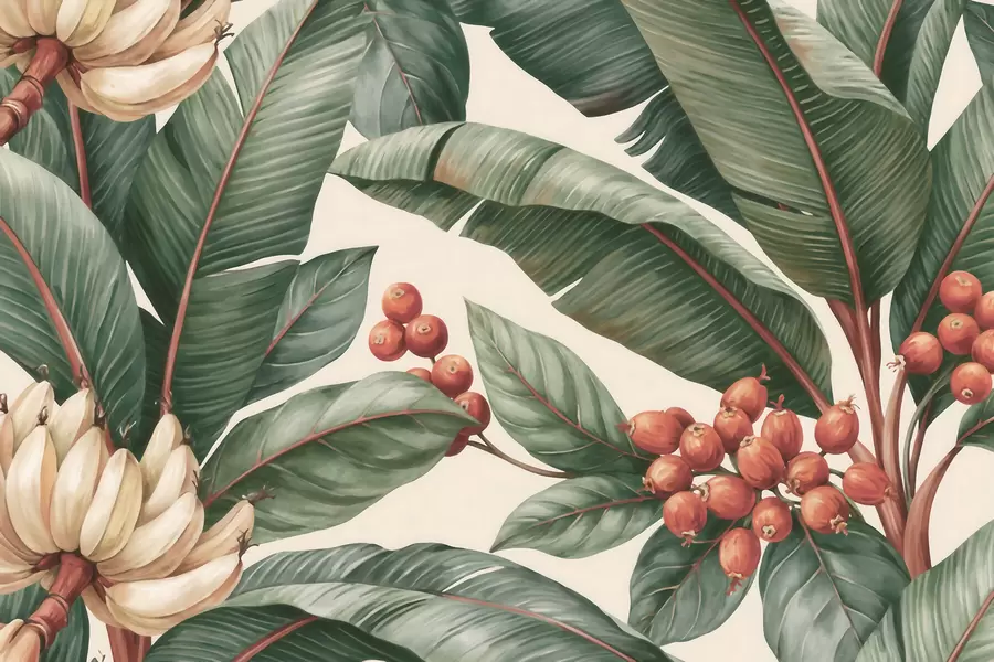peintures murales Feuilles de bananier tropicales ornées de grappes de baies de café rouges, style aquarelle w09997