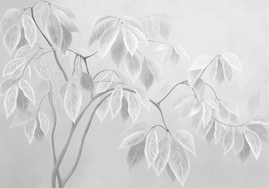 peintures murales Des branches claires aux grandes feuilles sur un fond clair w05806
