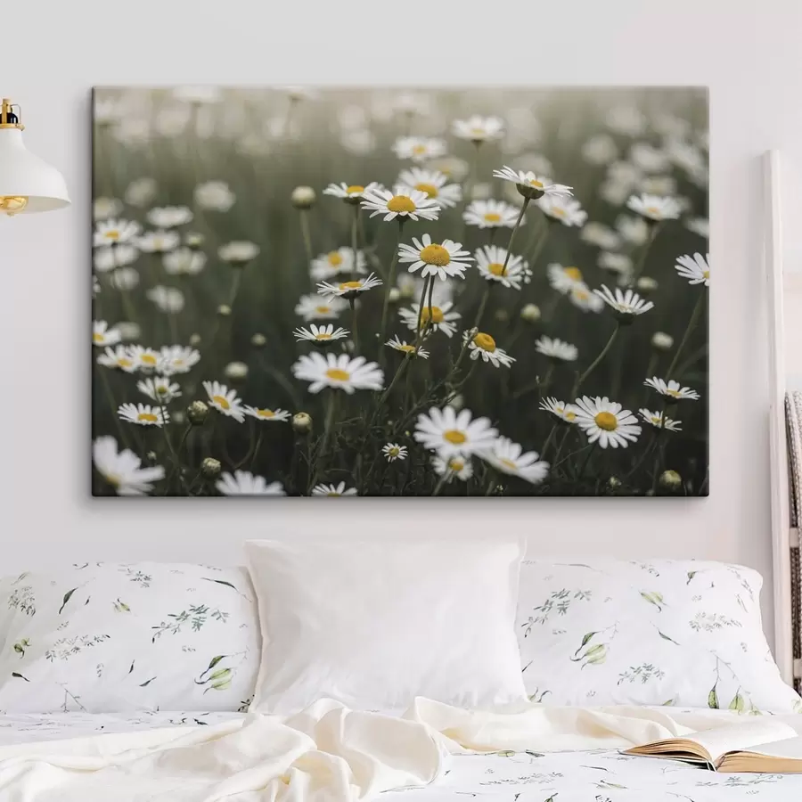 wall murals Field of white daisies with yellow centers s50588