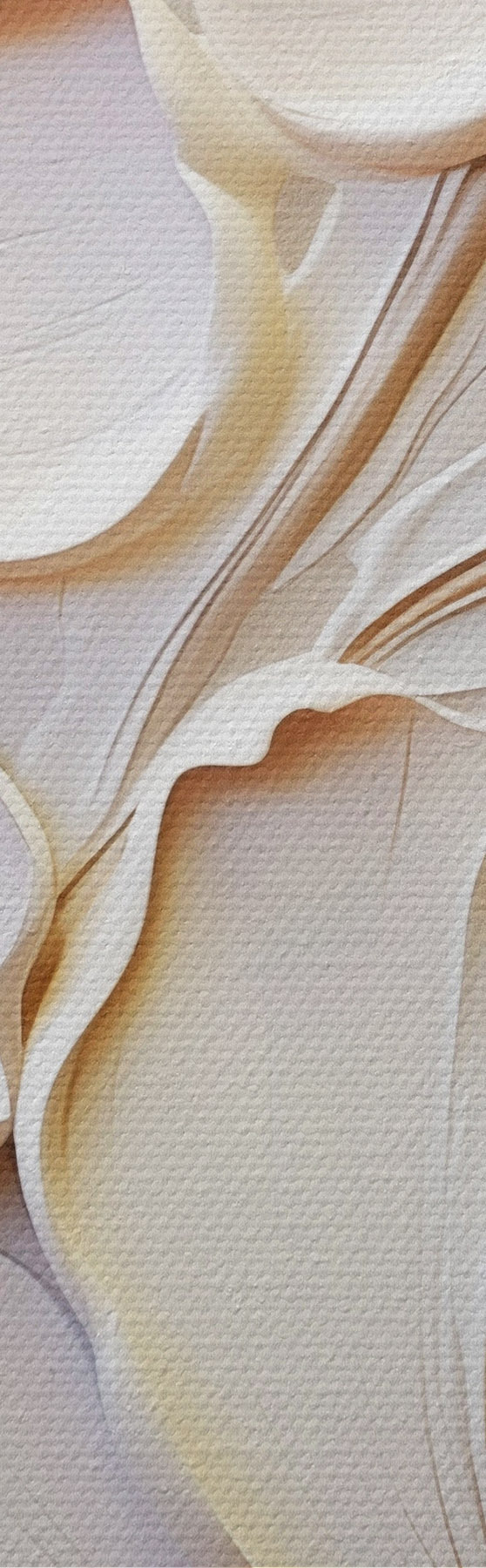 wall murals Cream-colored flowers with textured petals, soft, light background s50958