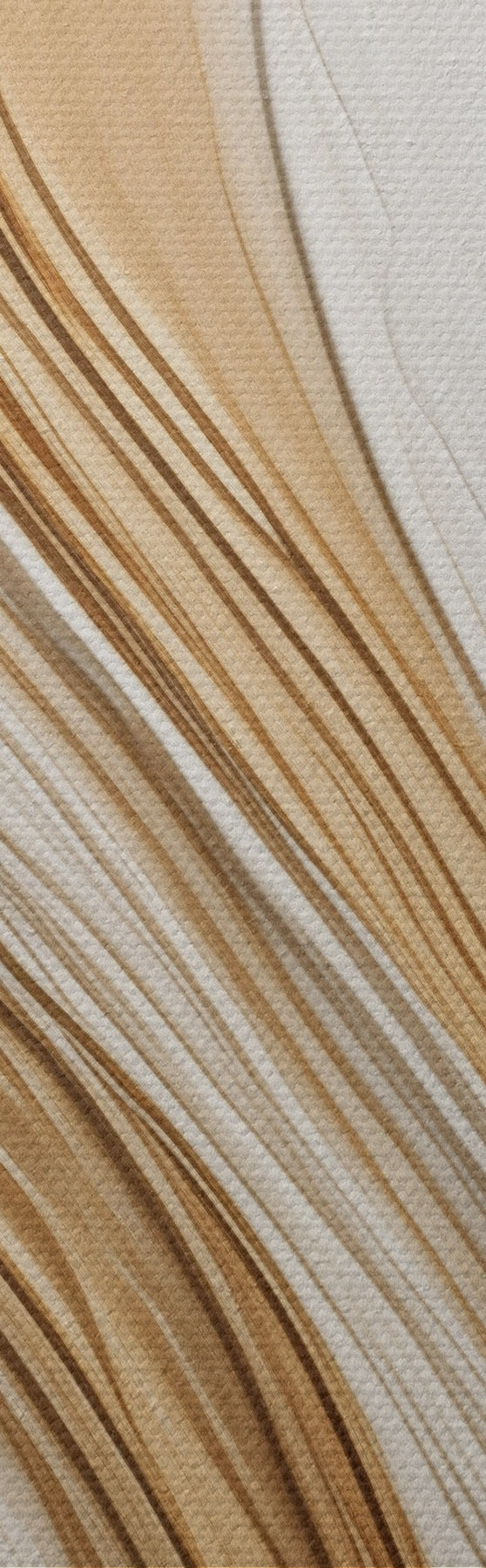 wall murals Abstract swirl lines that create a textured, modern minimalistic art s50961
