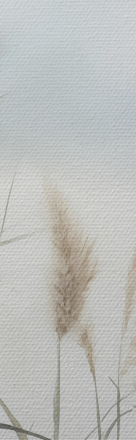wall murals Tall, feathery pampas grass, foggy textured landscape s50964