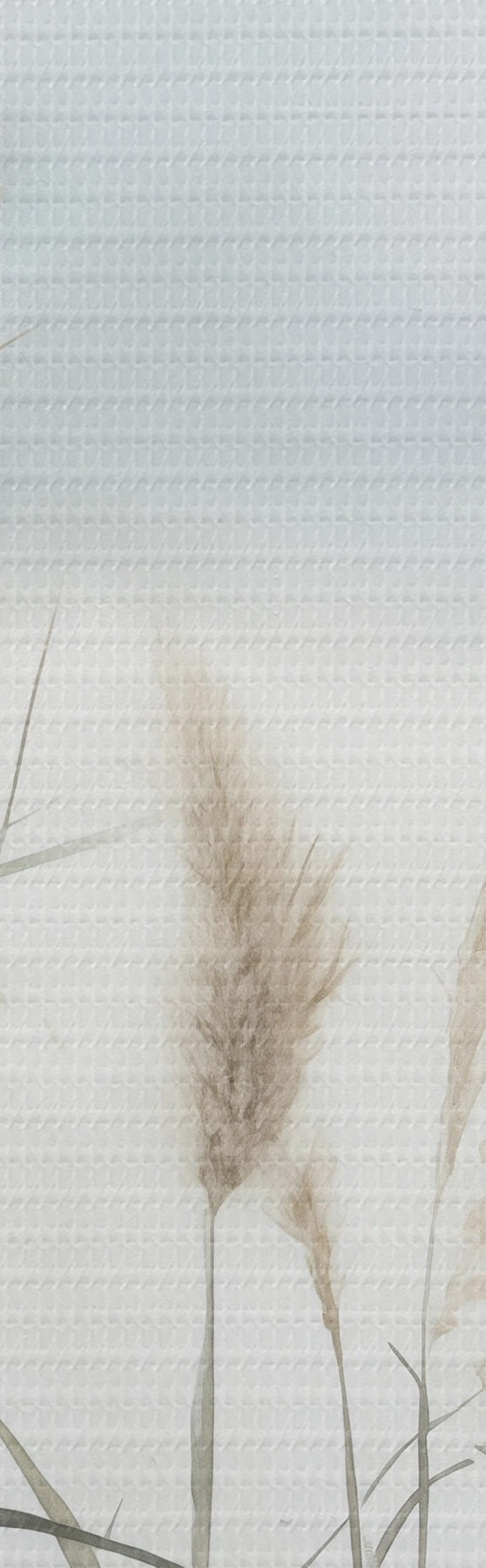wall murals Tall, feathery pampas grass, foggy textured landscape s50964