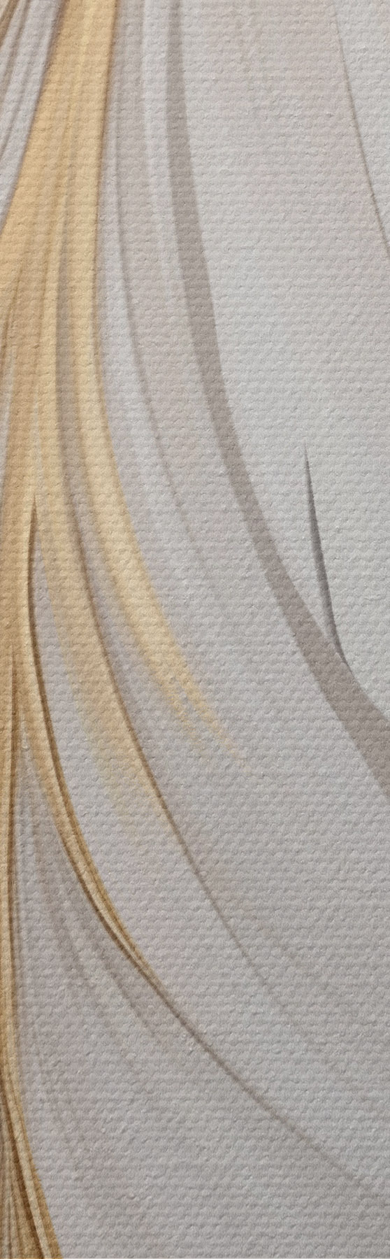 wall murals Large, decorative feathers, intricate details and a delicate texture s50970