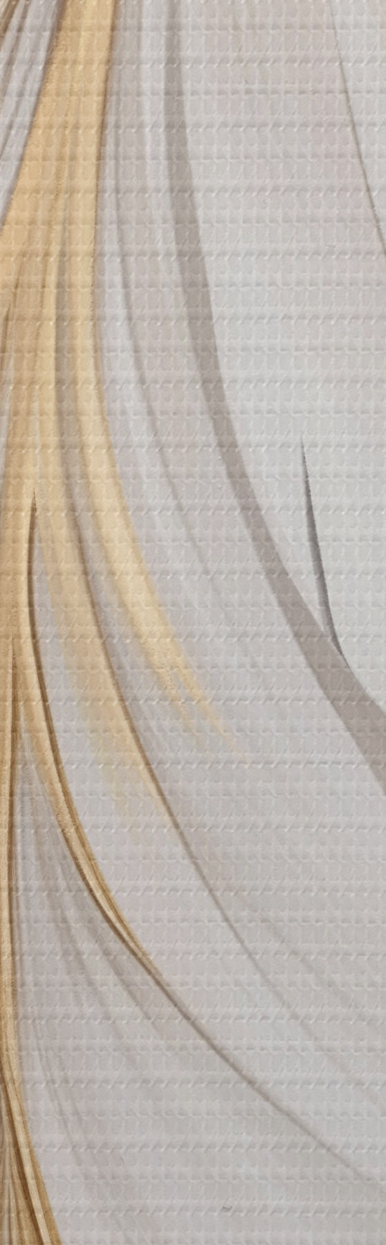 wall murals Large, decorative feathers, intricate details and a delicate texture s50970