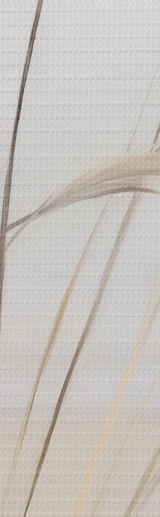 wall murals Tall, dry grass and flowers in muted beige and white tones, soft, blurred background s50973