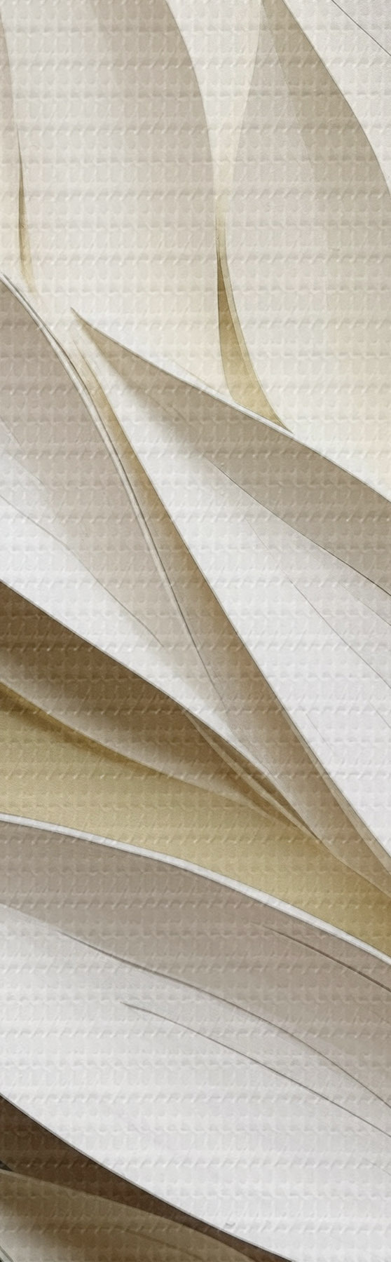 wall murals Adstract leaves against green background, with layered textures and shadows s50976