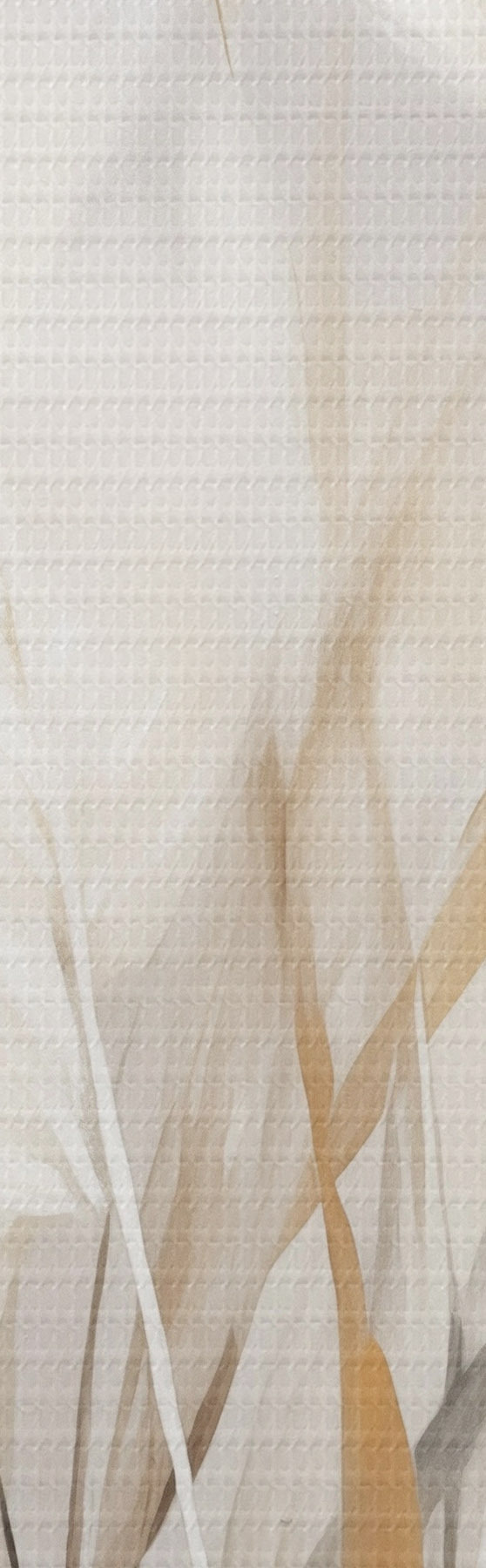 wall murals Pampas grass with white and black leaves against a neutral background m31044