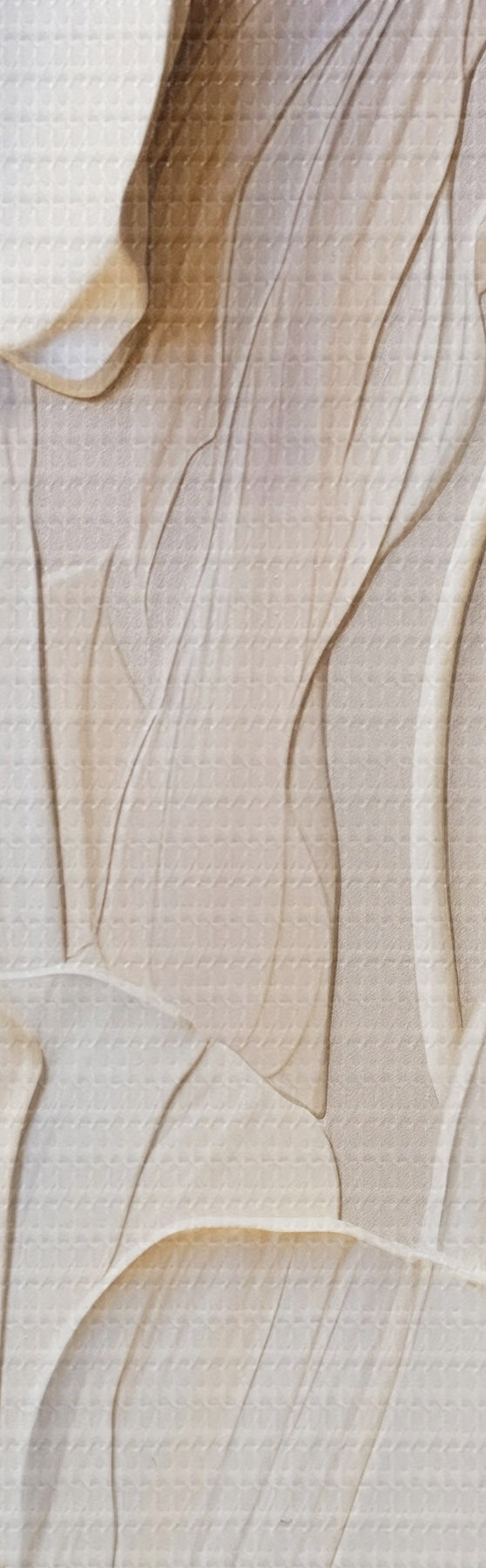 wall murals Cream-colored flowers with textured petals, soft, light background m31045