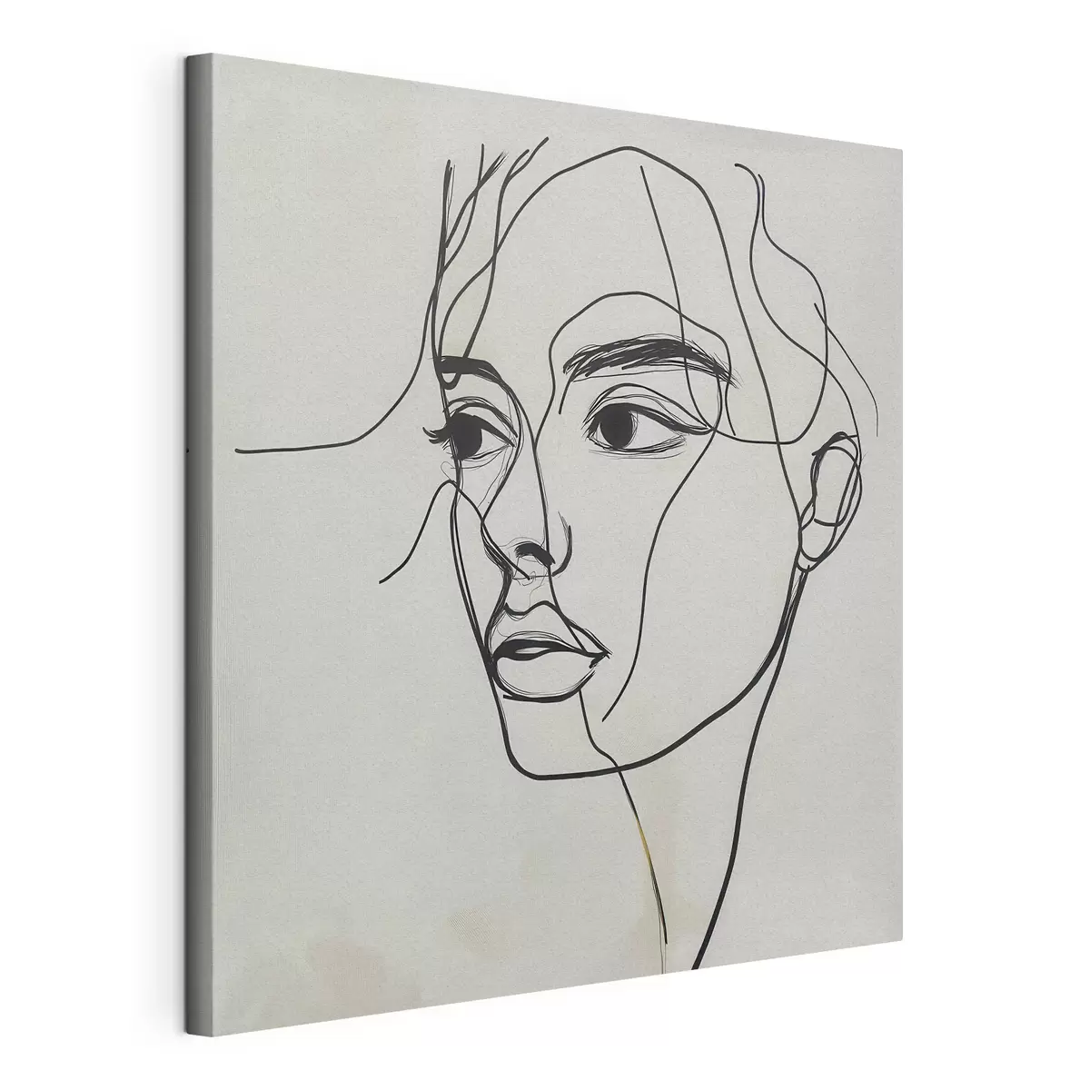 murales Retrato lineal de un rostro s51002
