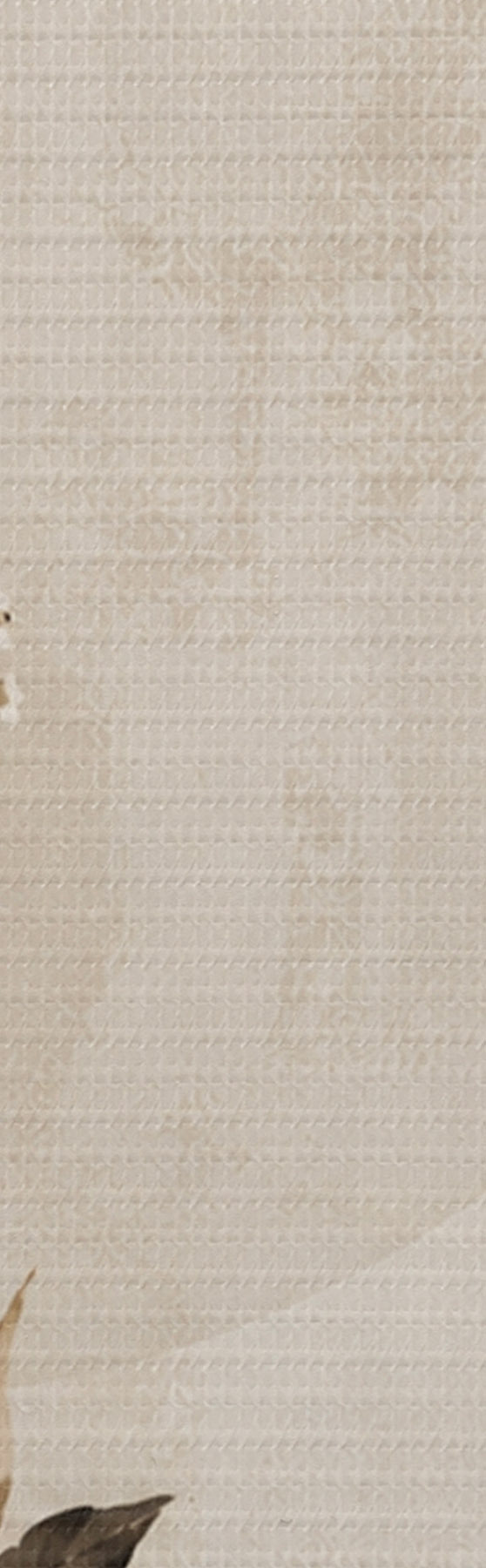 wall murals Quiet Elegance s50725