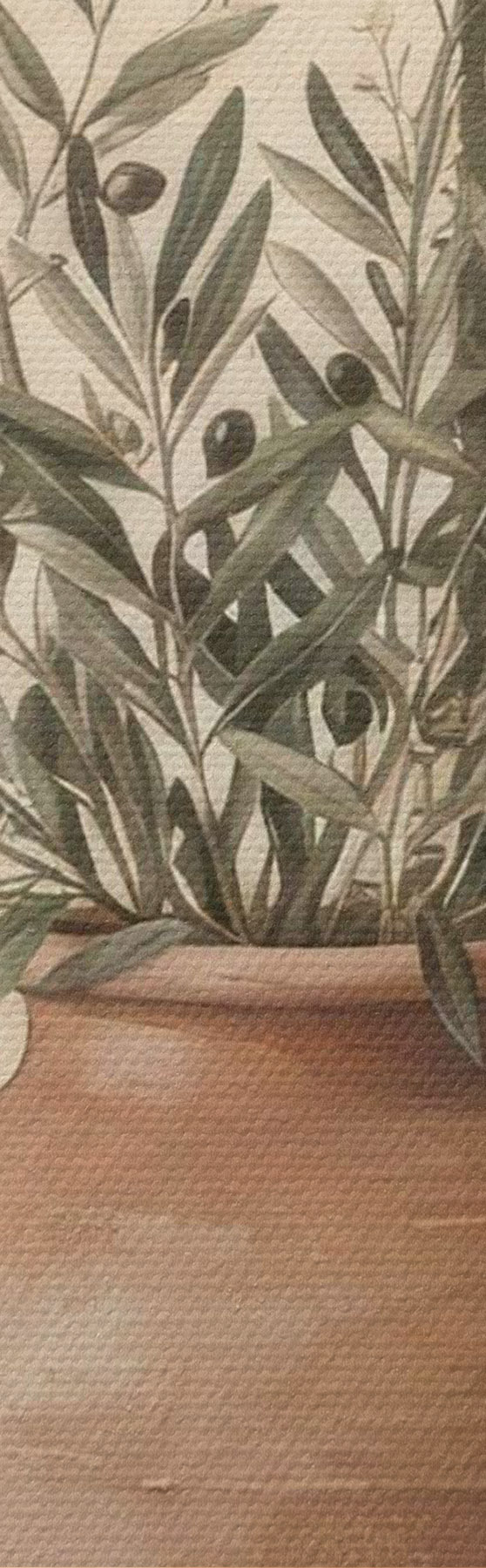 wall murals The Art of Slow Living s50891