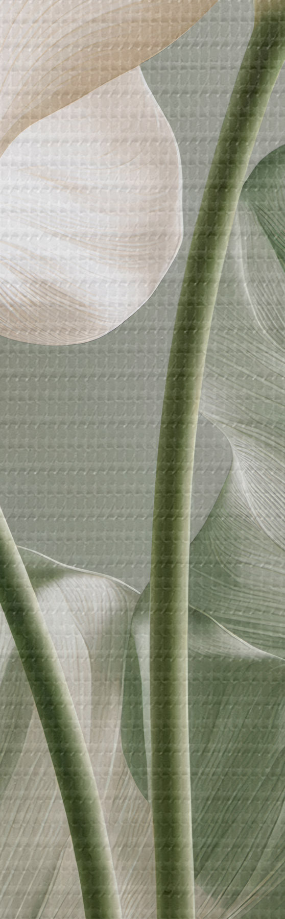 wall murals Delicate leaves m31037
