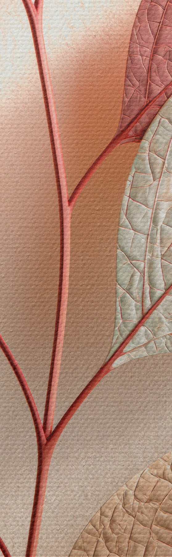 wall murals Modern botanical composition s50864