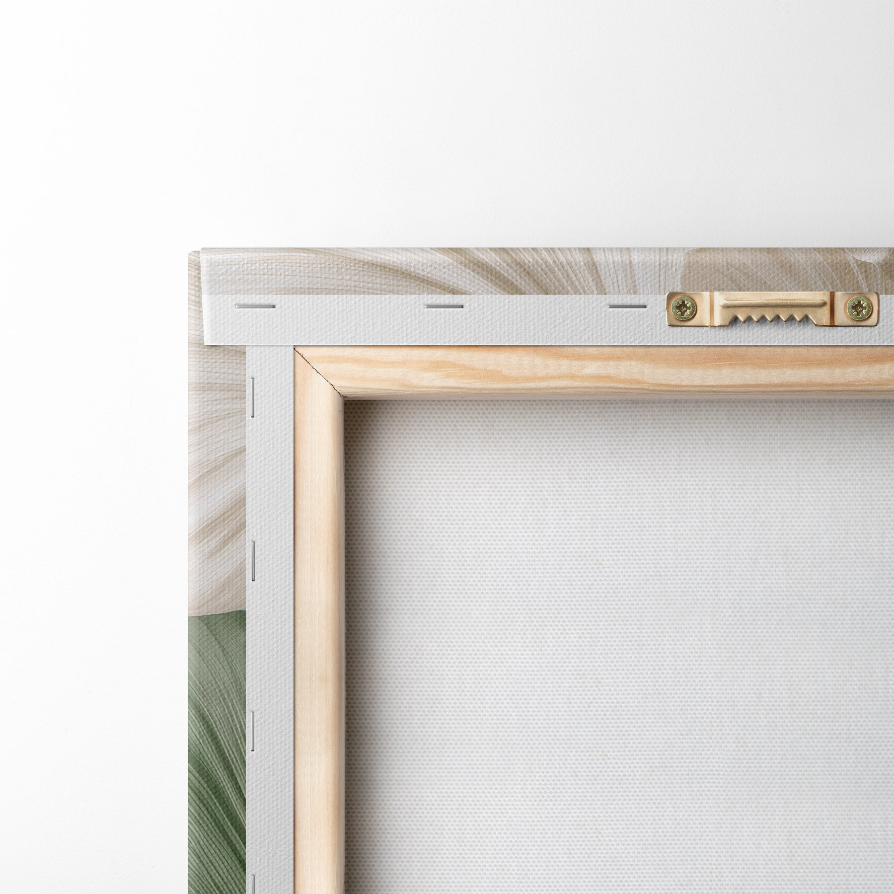 wall murals Delicate leaves s50867