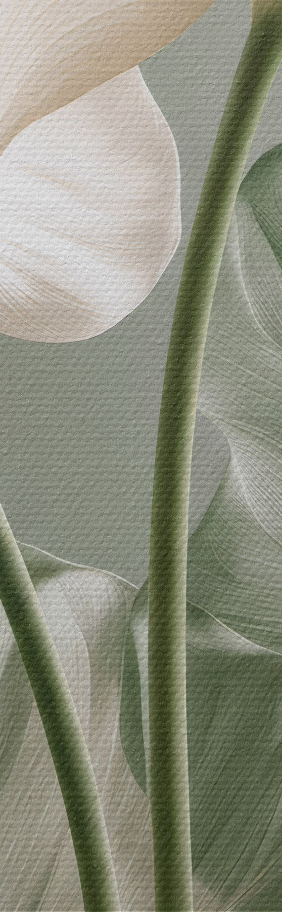 wall murals Delicate leaves s50867