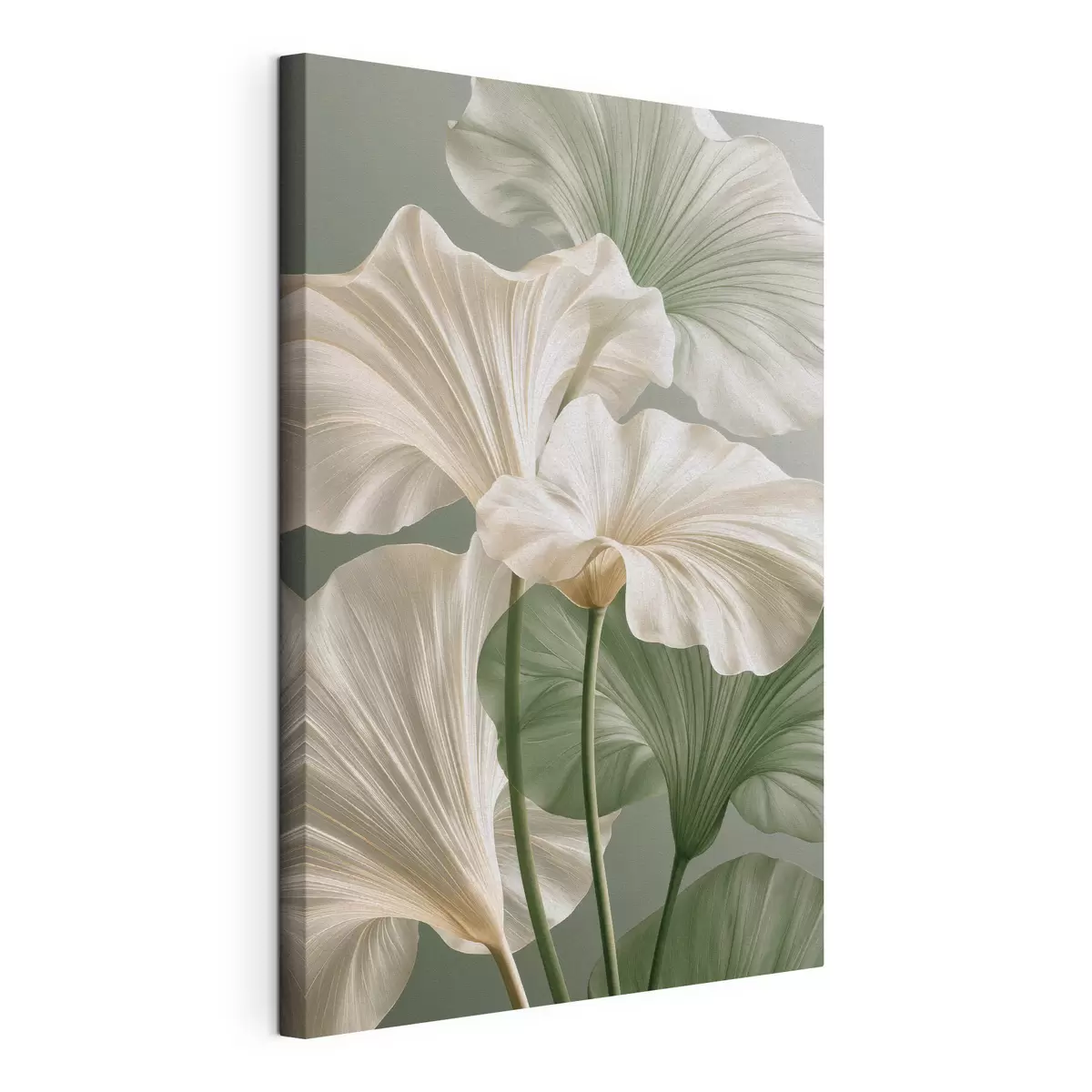 wall murals Delicate leaves s50868