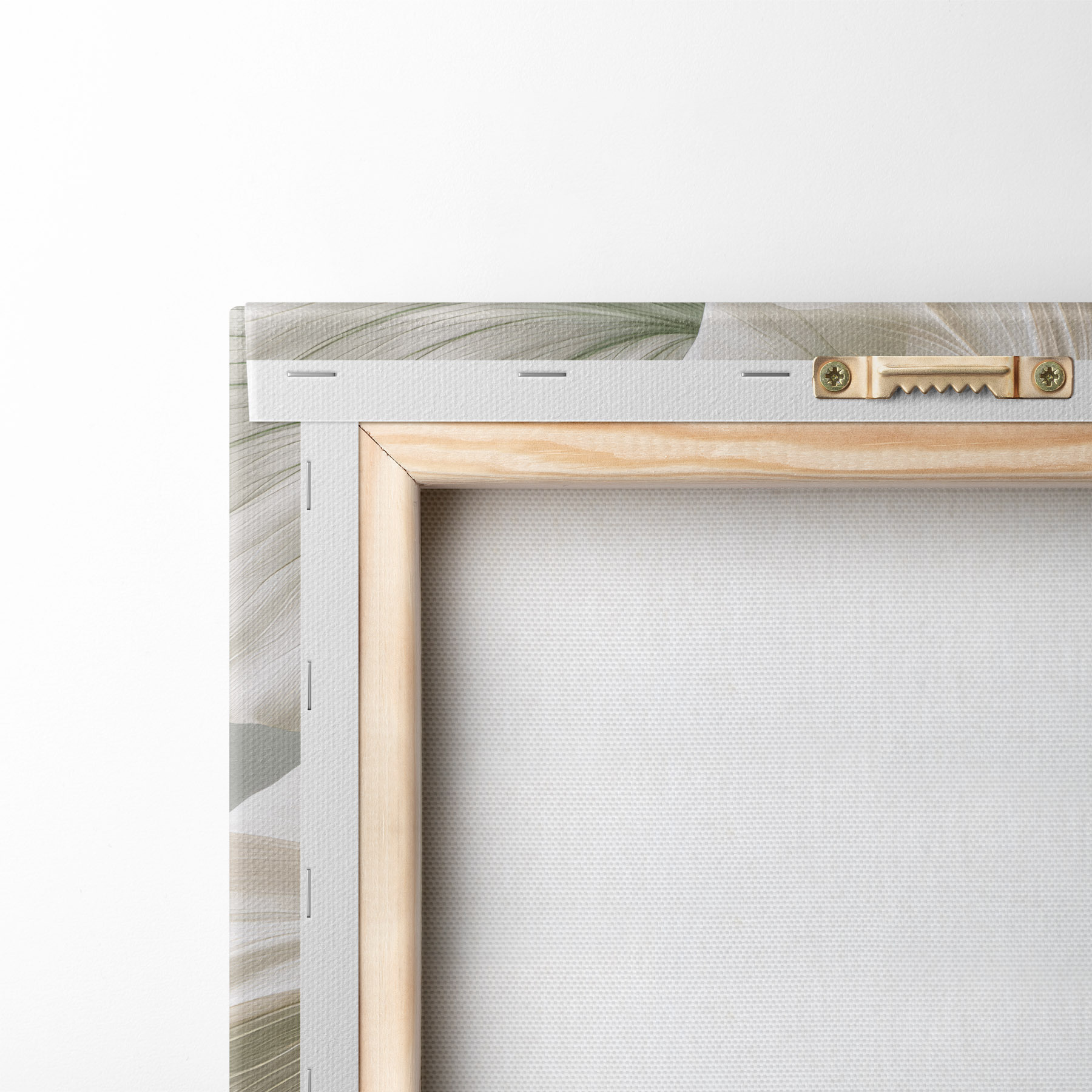 wall murals Delicate leaves s50868