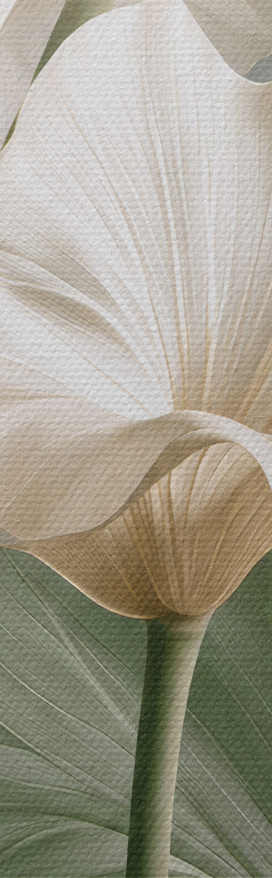 wall murals Delicate leaves s50868