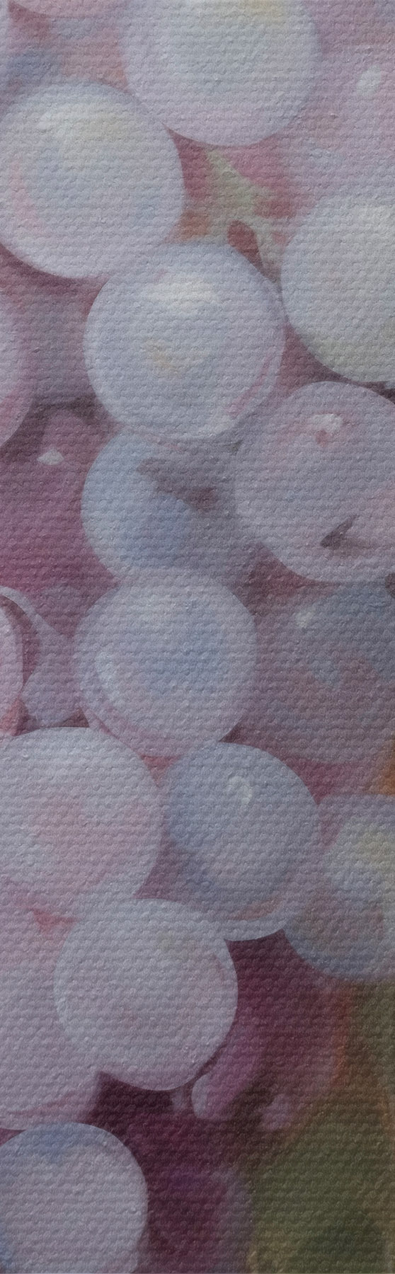wall murals Grapes, imitation of a painting s51124