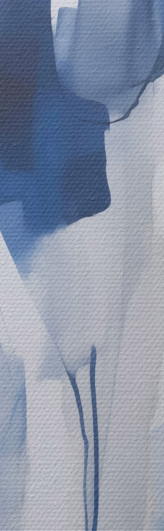 murales Siluetas, imitación de la pintura s51132