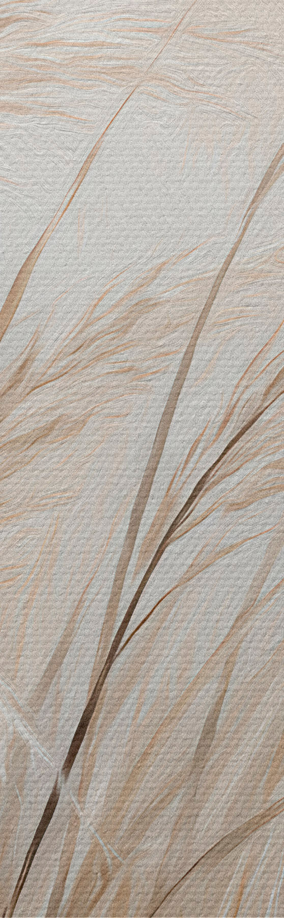 wall murals Ears of Wheat s51045