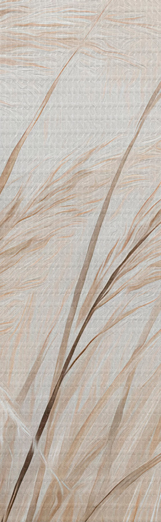 wall murals Ears of Wheat s51045