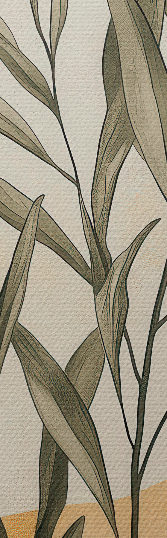 wall murals An olive branch s51055