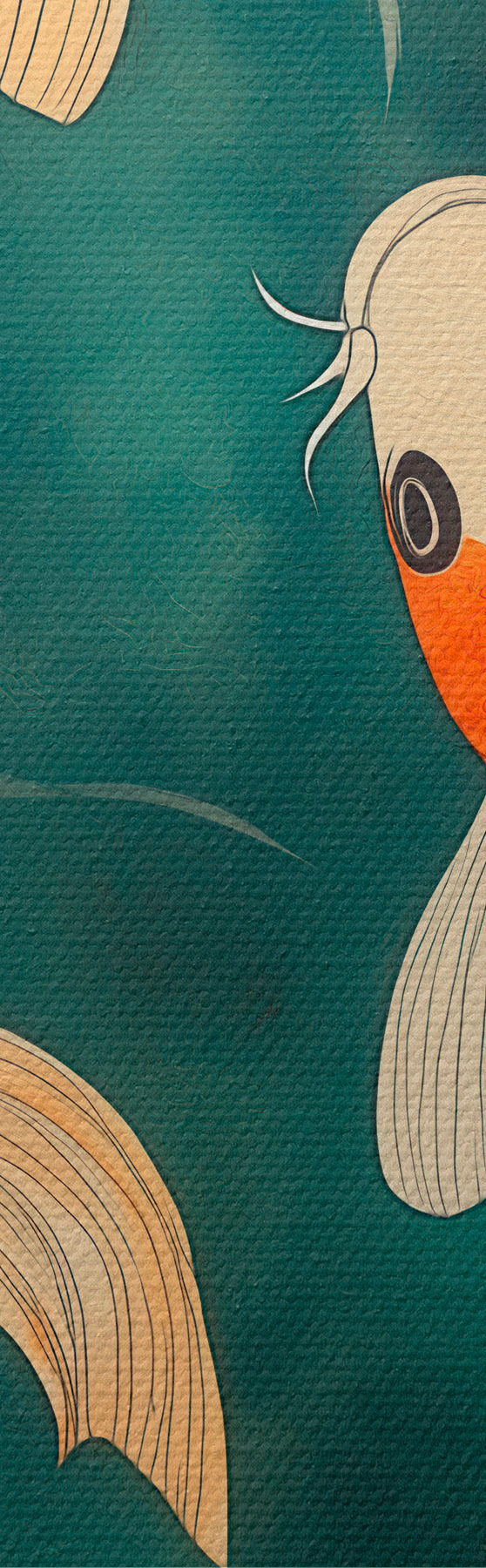 wall murals Eastern Koi m31087