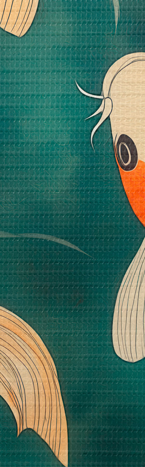 wall murals Eastern Koi m31087