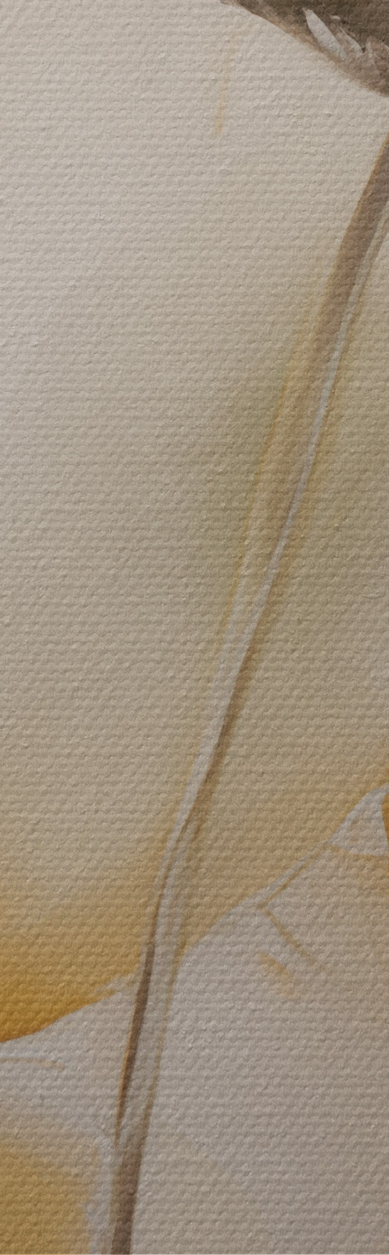 murales Amapolas etéreas en tonos beige s51090