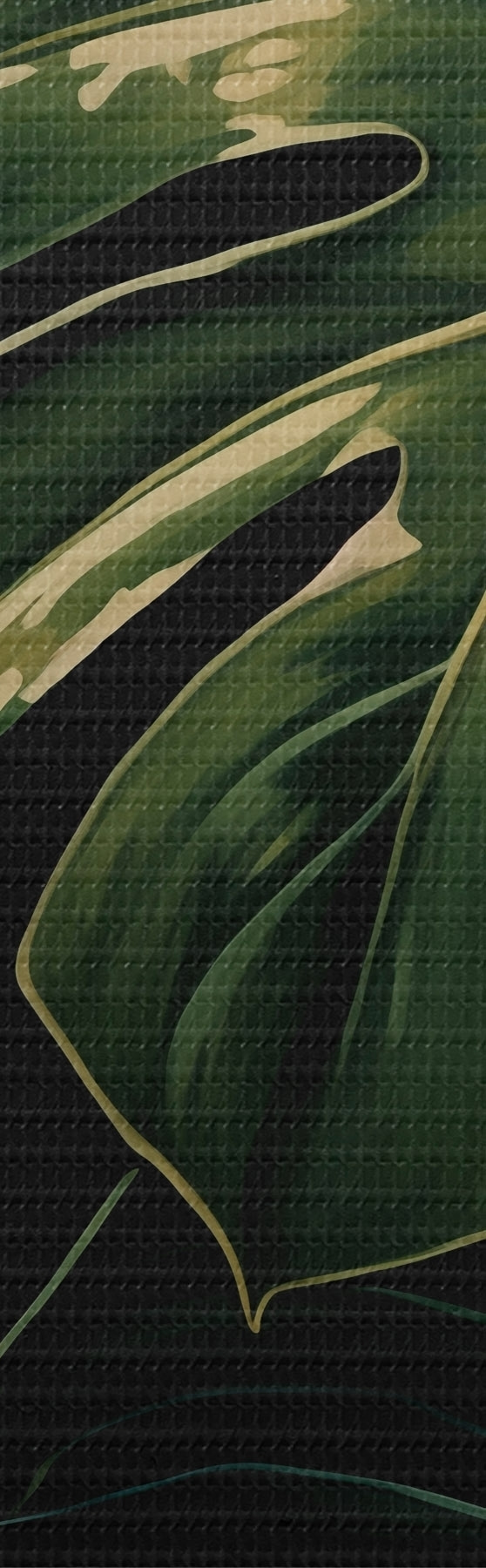 wall murals Glossy Monstera Leaves in Dark Tropics s51091