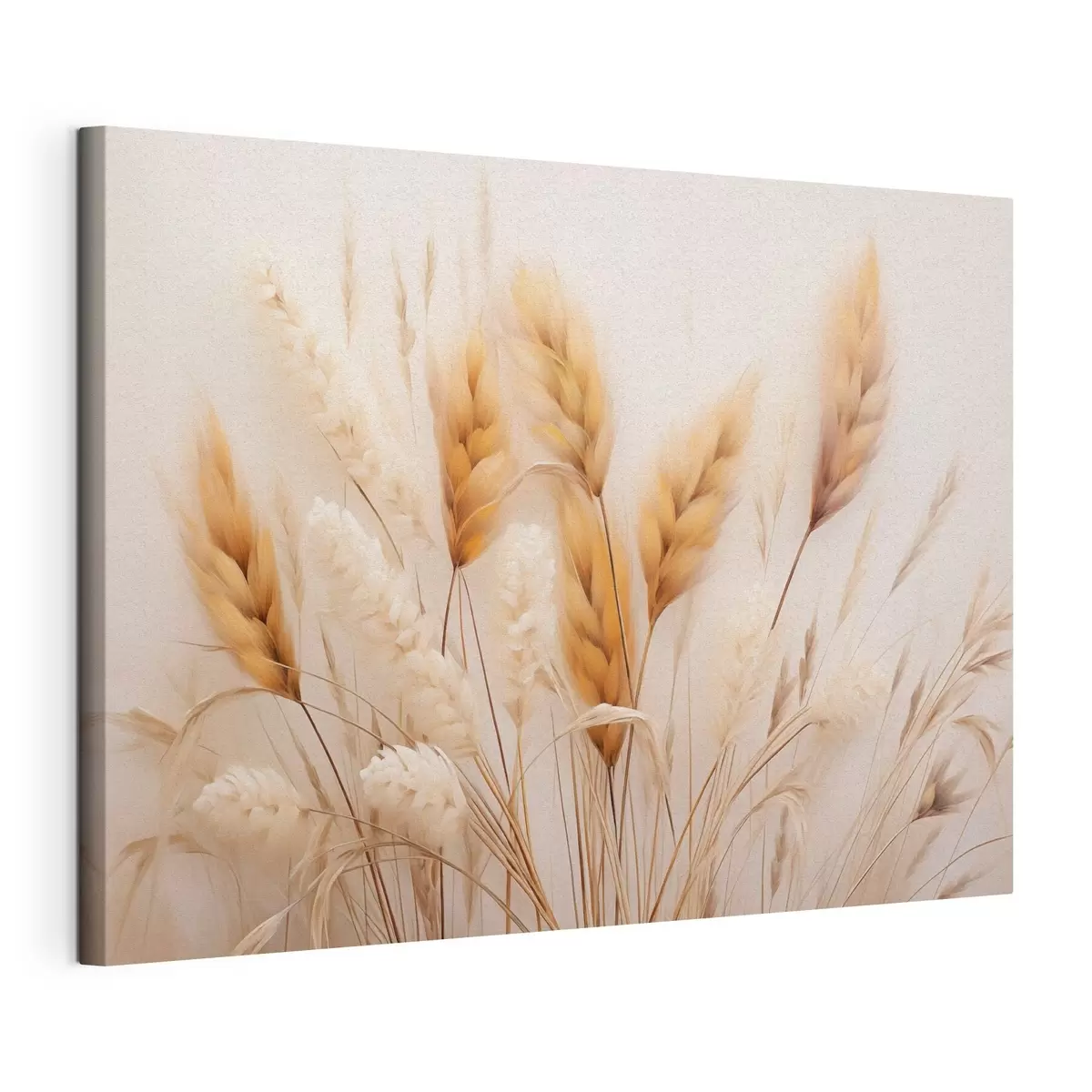 wall murals Fluffy Pampas Grass in Eco Style s51093