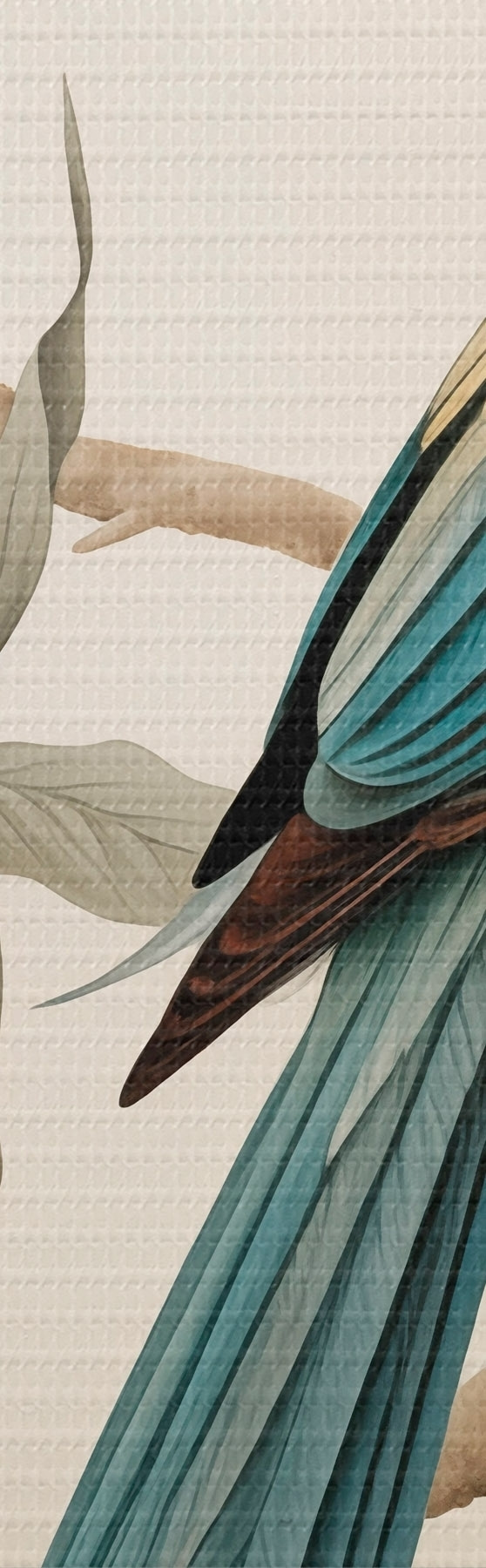 wall murals Tropical Parrot on a Blooming Branch s51094