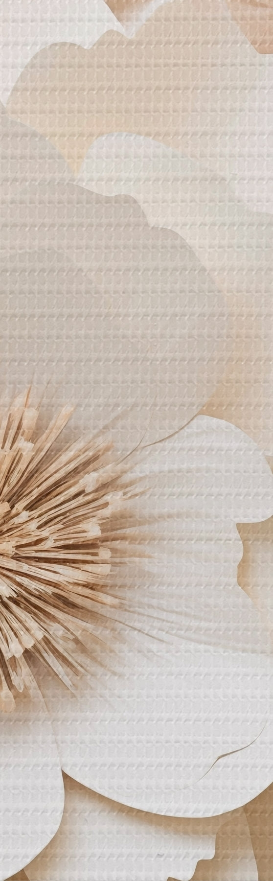 wall murals 3D Plaster Relief with White Flowers s51096