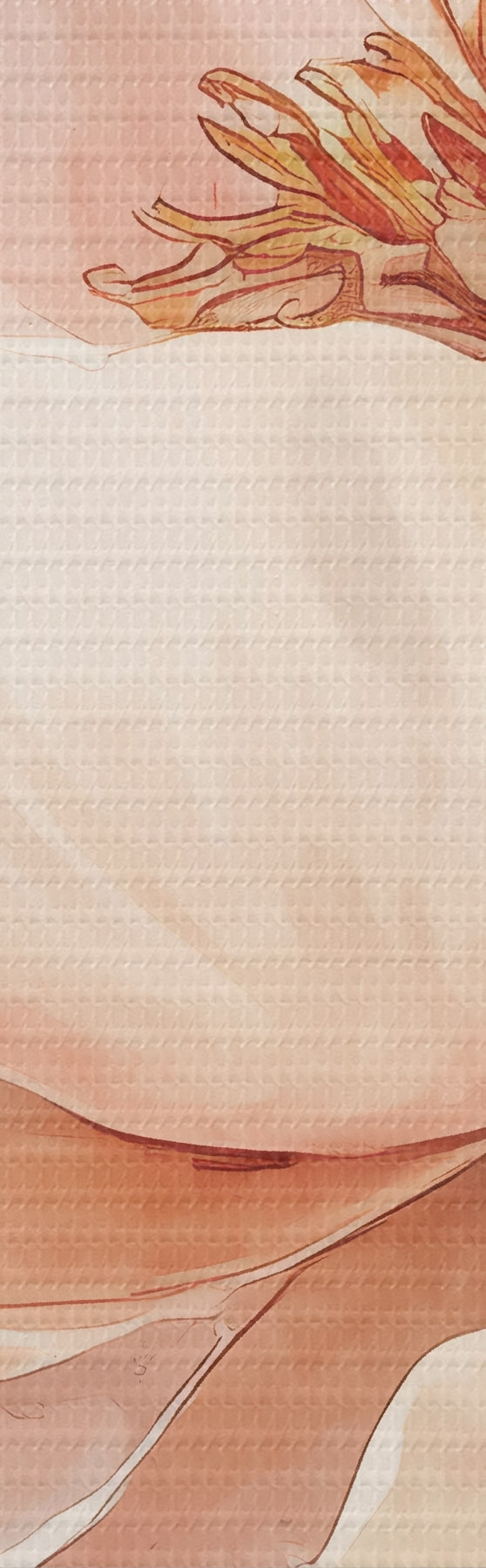 murales Flor en acuarela rosa-beige s51098