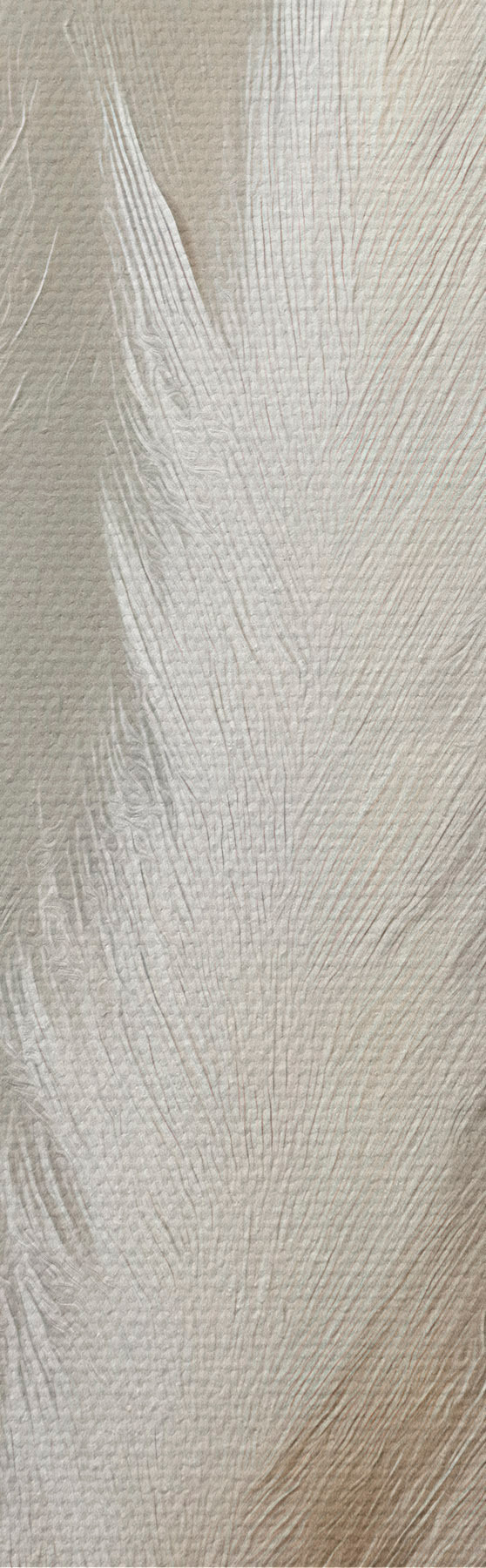 wall murals Pampas Grass s51151