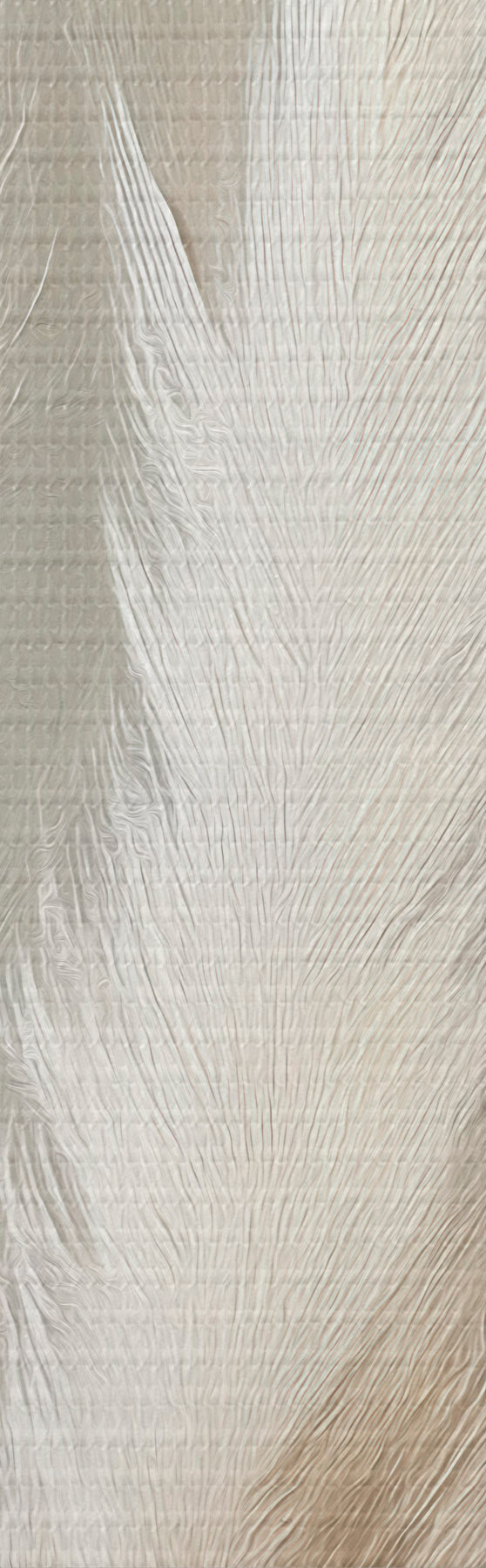 wall murals Pampas Grass s51151